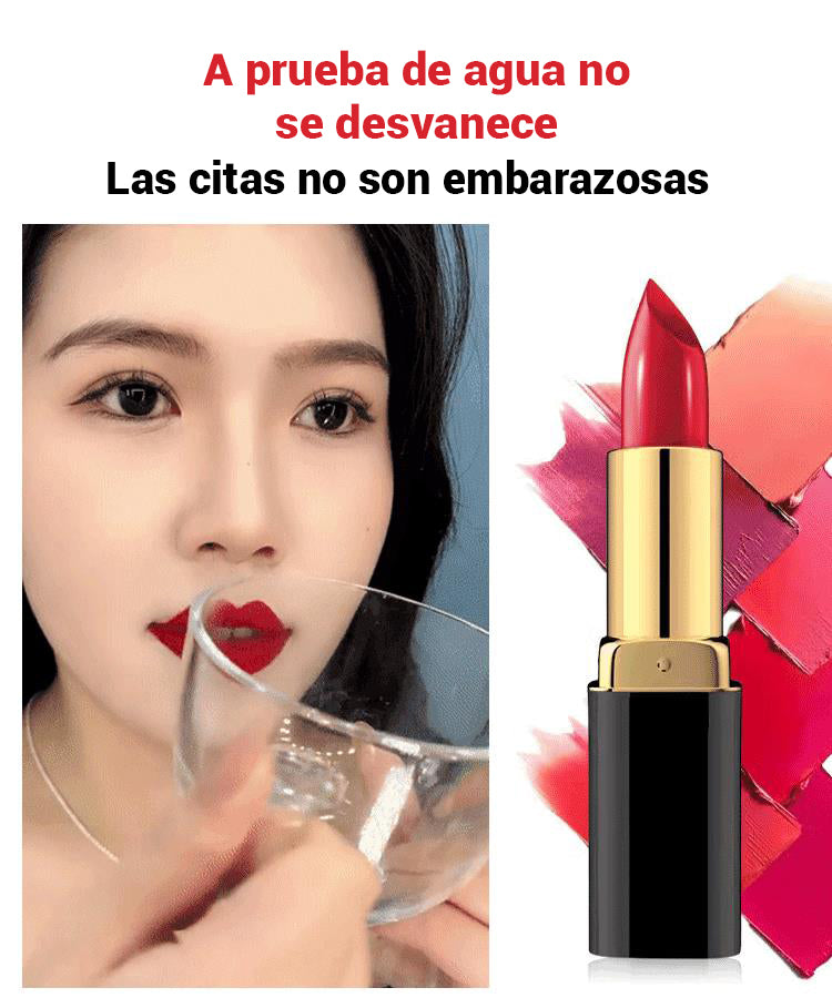 Barra de labios hidratante de larga duración