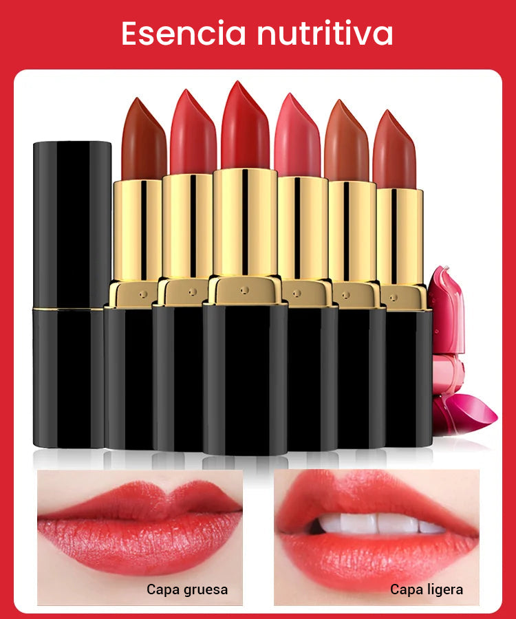 Barra de labios hidratante de larga duración