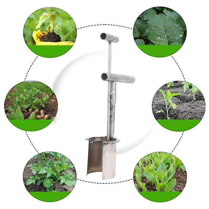 💥50%OFF🌳 Trasplantes de plantas y plantones de árboles frutales