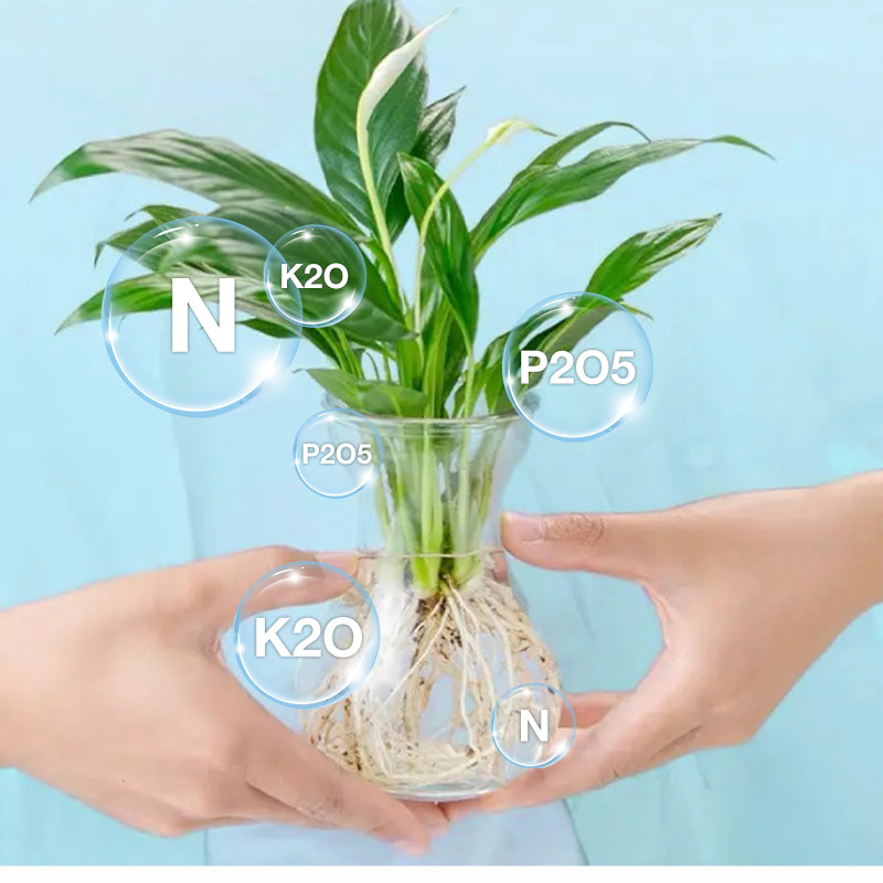 Solución hidropónica de nutrientes para el crecimiento de las plantas