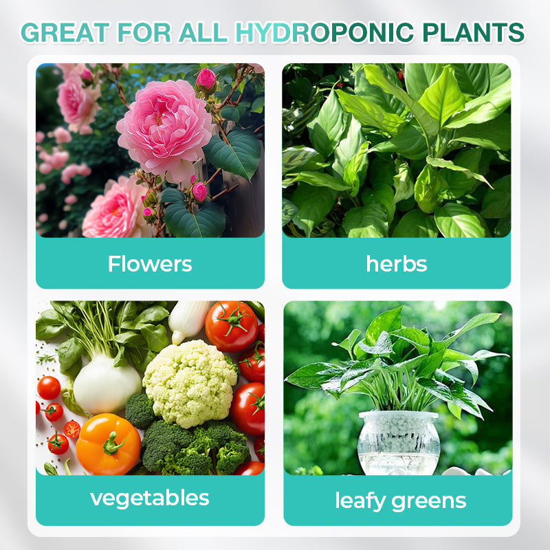 Solución hidropónica de nutrientes para el crecimiento de las plantas