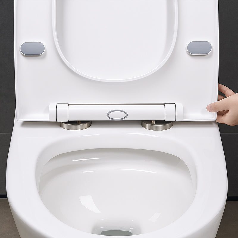 Tornillos de fijación universales para asiento de inodoro