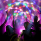 💥BOMBILLA GIRATORIA COLORFUL DISCO™️ 🕺💃