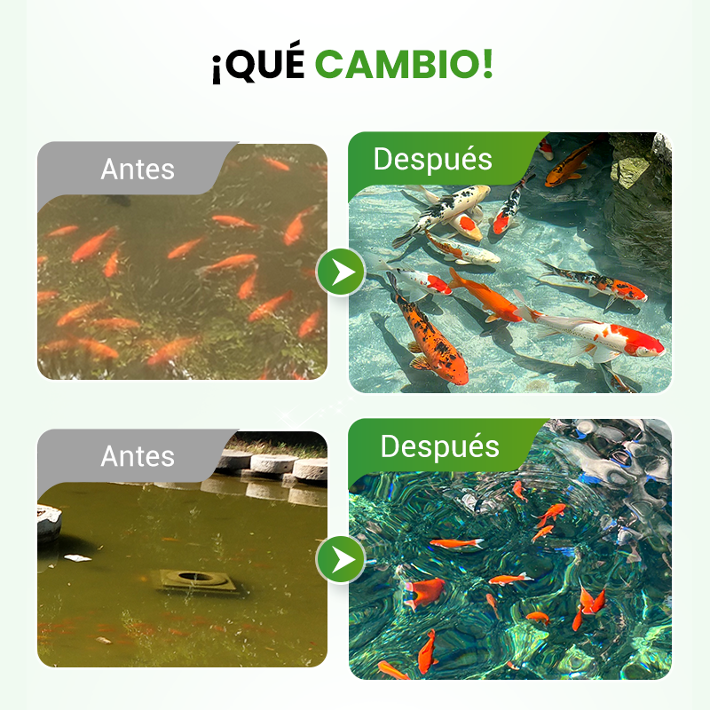 500g Polvo Premium para Estanques | Clarificador de Agua y Control de Algas 🐟🌊🔬