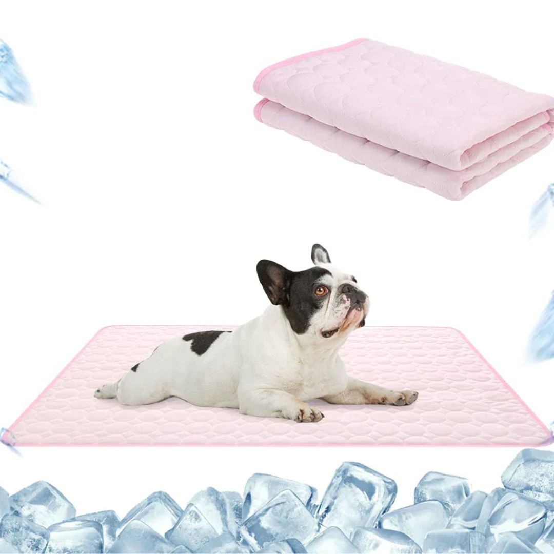 Alfombra Refrescante Premium para Perros🐶🐱
