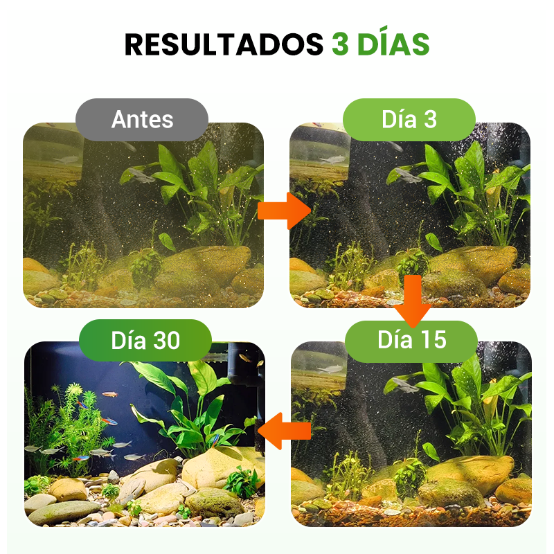 500g Polvo Premium para Estanques | Clarificador de Agua y Control de Algas 🐟🌊🔬