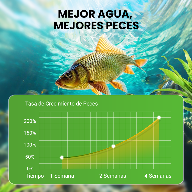 500g Polvo Premium para Estanques | Clarificador de Agua y Control de Algas 🐟🌊🔬