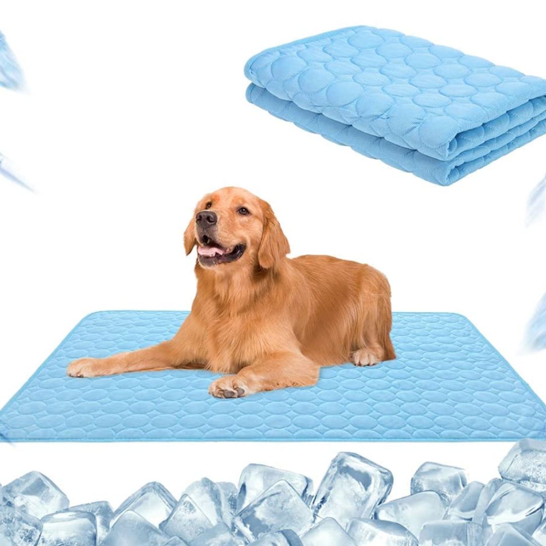 Alfombra Refrescante Premium para Perros🐶🐱