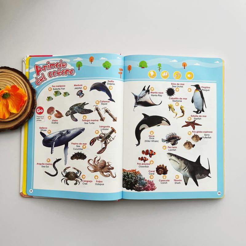 Juguete educativo interactivo en español para niños de 1 a 6 años. Libro de sonidos bilingüe para el aprendizaje temprano. Juguete interactivo con más de 300 palabras y 13 temas, una excelente opción de regalo para niños pequeños.