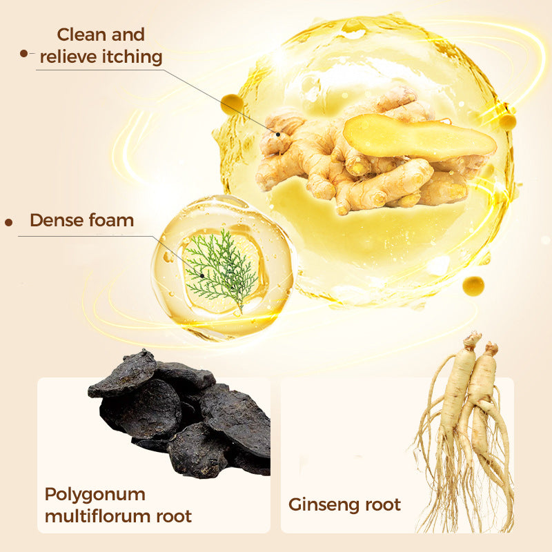 Champú de Extractos Naturales