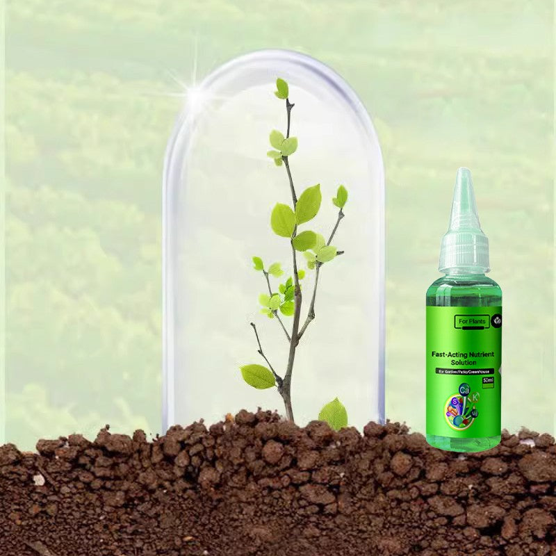 🥬Solución nutritiva de efecto rápido para plantas: se repone rápidamente, se vuelve fuerte, exuberante y verde.