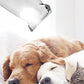 Afeitadora segura y eficaz para mascotas con luz LED