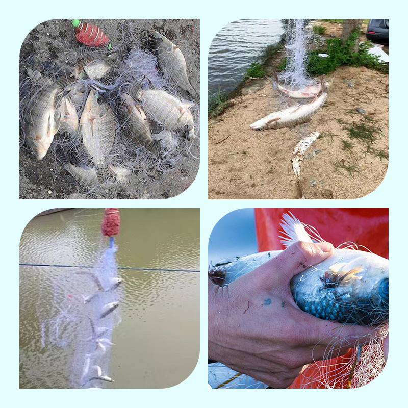 Red de enmalle de pesca con trampa de cebo de muelle