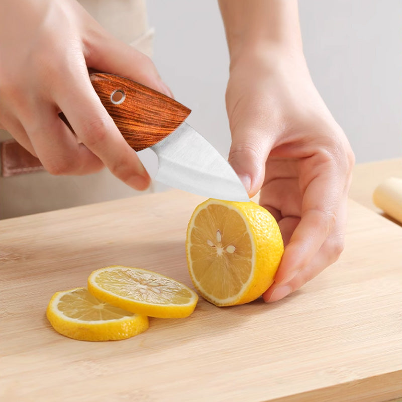 Cuchillo de Bolsillo de Acero Inoxidable para Frutas