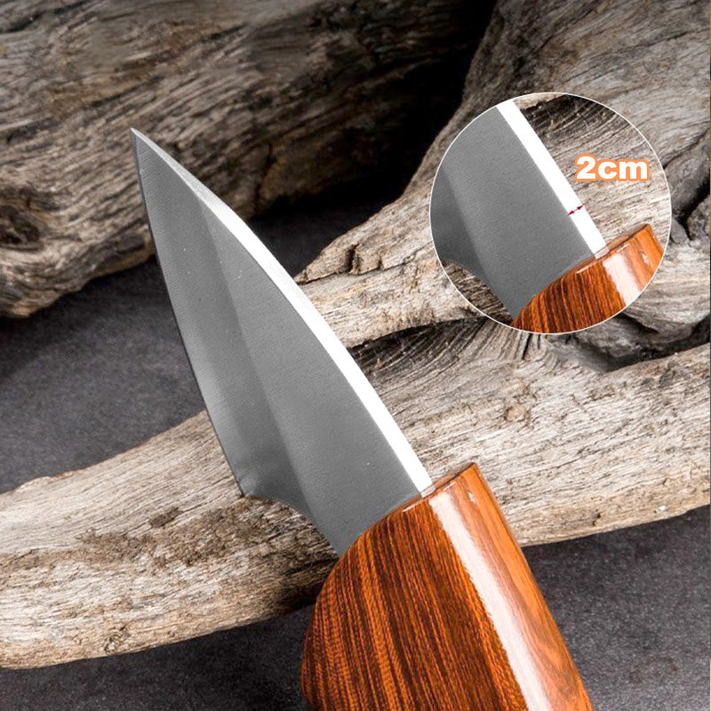Cuchillo de Bolsillo de Acero Inoxidable para Frutas