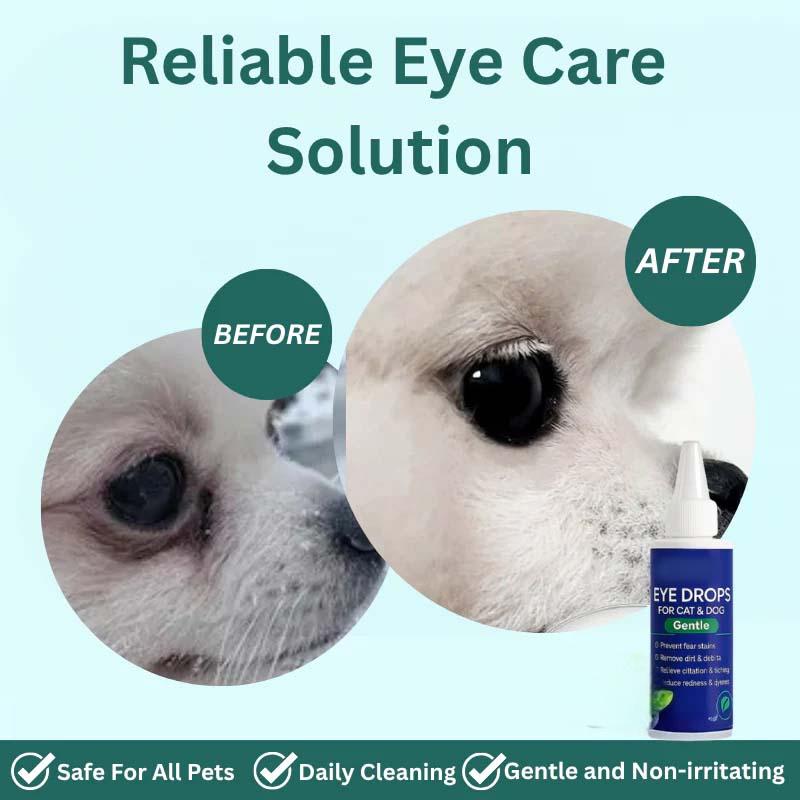 🐶🐱Gotas Oculares para Perros y Gatos 💧👁️