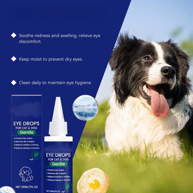 🐶🐱Gotas Oculares para Perros y Gatos 💧👁️