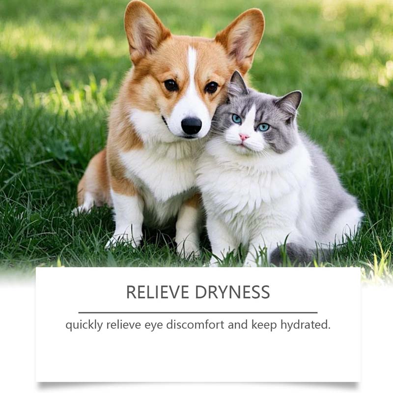 🐶🐱Gotas Oculares para Perros y Gatos 💧👁️