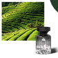 🚗🌿 ¡OFERTA 50% OFF! Perfume para Auto – Fragancia Natural y Larga Duración