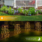 💐¡50% de descuento! Luces solares de jardín – Resplandor cálido y acogedor para patio ✨🏠 【Oferta limitada】