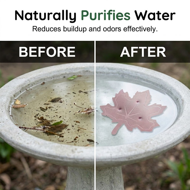 🔥OFERTA ESPECIAL 50% DE DESCUENTO🍁Purificador para Baño de Aves Ajuste Universal