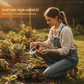Alimento para plantas de frutas y bayas