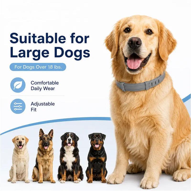 ✨Collar antipulgas y garrapatas ajustable para perros y gatos