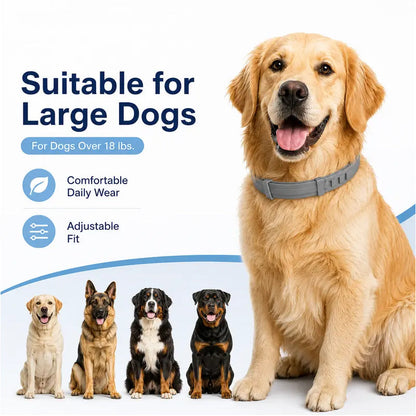 ✨Collar antipulgas y garrapatas ajustable para perros y gatos