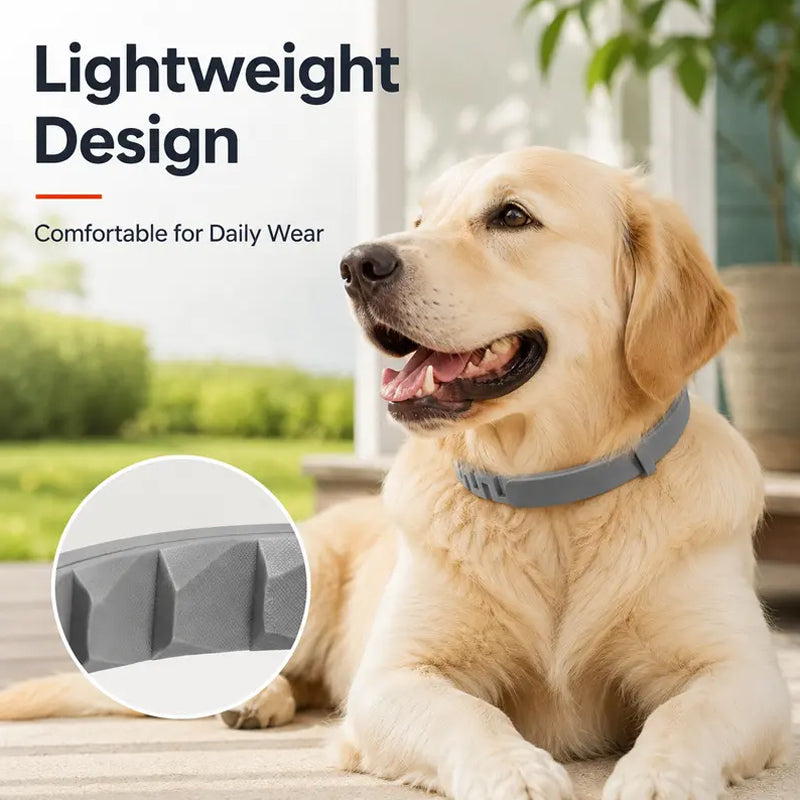 ✨Collar antipulgas y garrapatas ajustable para perros y gatos