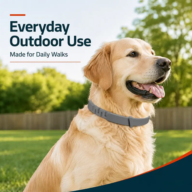 ✨Collar antipulgas y garrapatas ajustable para perros y gatos