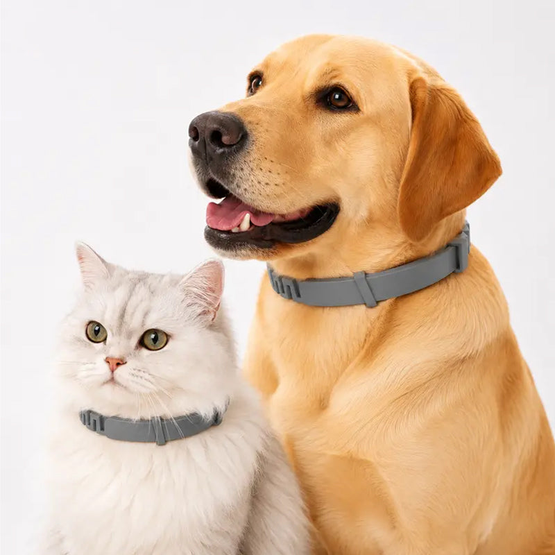 ✨Collar antipulgas y garrapatas ajustable para perros y gatos