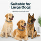 ✨Collar antipulgas y garrapatas ajustable para perros y gatos