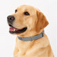 ✨Collar antipulgas y garrapatas ajustable para perros y gatos