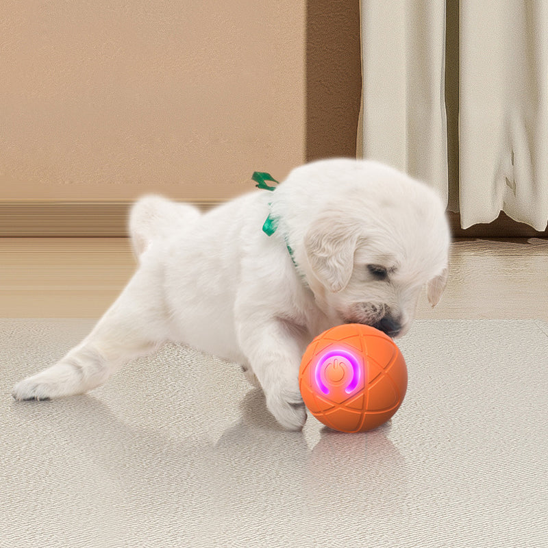 🐱🐶 Evita que tus mascotas se sientan solas – Pelota inteligente rebotante automática para mascotas