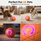 🐱🐶 Evita que tus mascotas se sientan solas – Pelota inteligente rebotante automática para mascotas