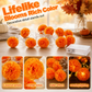 🌼 Guirnalda Luminosa de Caléndula – Brillo Naranja Tradicional para un Día de los Muertos lleno de Memoria y Color ✨🕯️