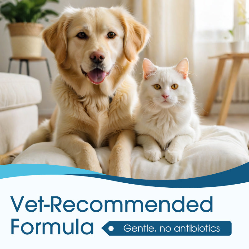 🔥🎁 ¡Novedad con 50% DE DESCUENTO!🔥 Limpiador de oídos anti picazón para perros y gatos