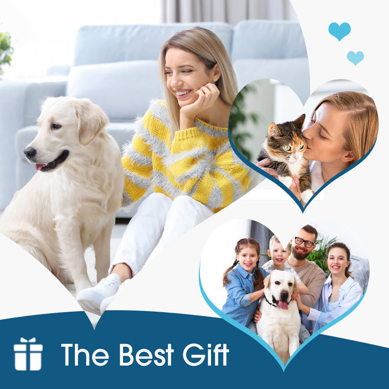 🔥🎁 ¡Novedad con 50% DE DESCUENTO!🔥 Limpiador de oídos anti picazón para perros y gatos