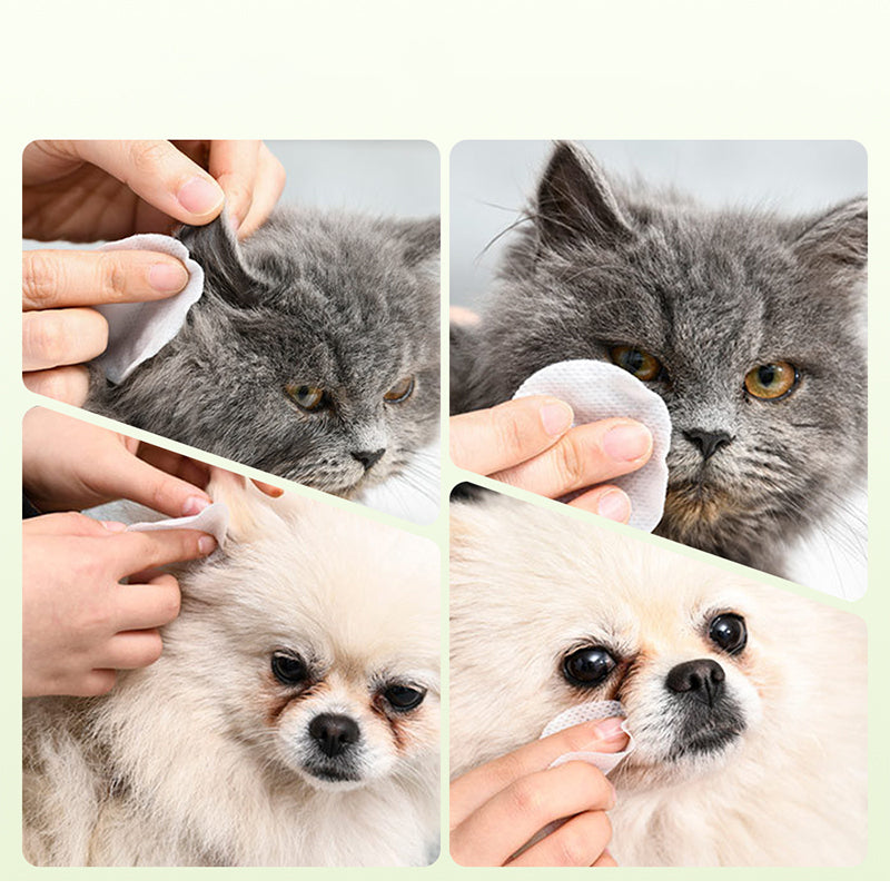 ✨ ¡Sorpresa, 50% de descuento! 🐈🐕 Mantener a tu mascota peluda limpia es fundamental. Toallitas limpiantes de origen vegetal natural para ojos y oídos de mascotas