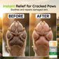 🎁 ¡Compra 1 y recibe 1 GRATIS! 🐶 Bálsamo Hidratante para Patas – Cuidado práctico para unas patas suaves y saludables