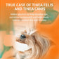 🐱🐶 Limpiador y gotas oculares para mascotas – fórmula suave con equilibrio de pH, segura para perros y gatos. Alivia el enrojecimiento, elimina manchas de lágrimas y suciedad diaria. Sin peróxido! 🌿💧