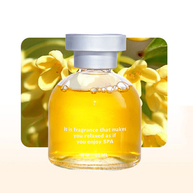 ✨️✨️¡Increíble 50% de descuento!🌿Compra 1, obtén 1 gratis🌺Fragancia premium para un aire fresco！🚗Perfume para coche de larga duración