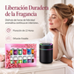 Juego de 12 aceites esenciales solubles en agua
