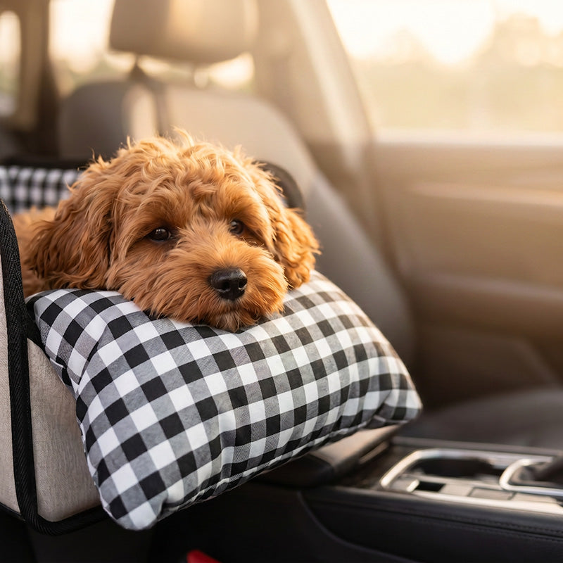 🐶Asiento elevador seguro para mascotas para transporte
