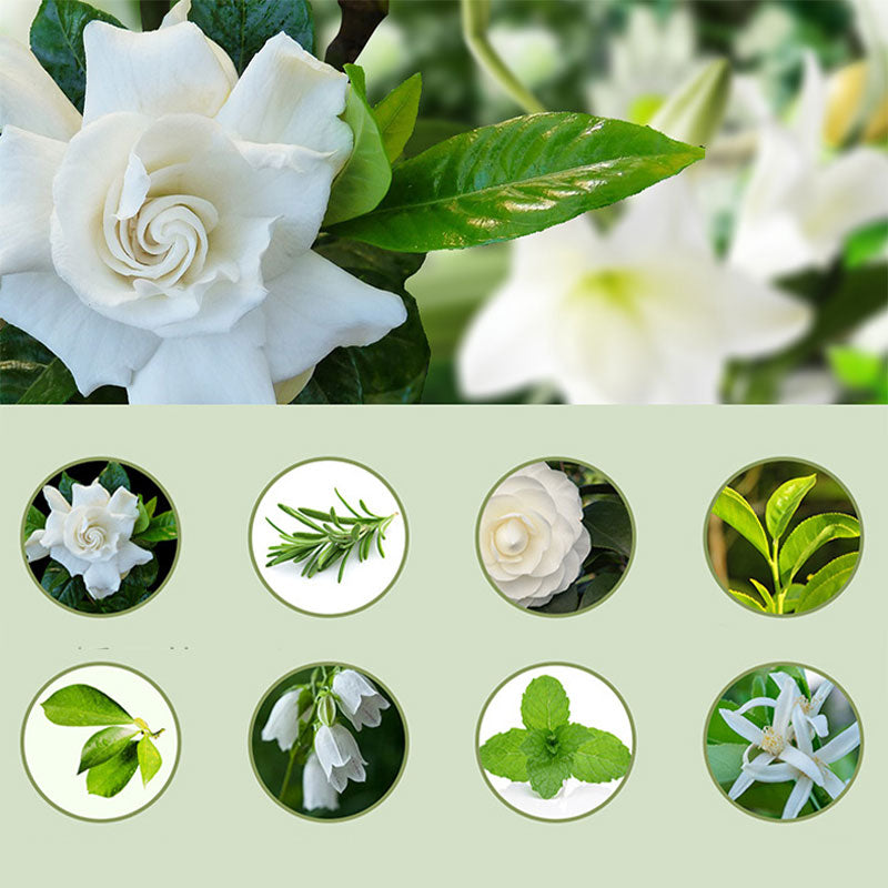 Difusor automático de aromaterapia