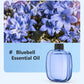 Difusor automático de aromaterapia