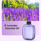Difusor automático de aromaterapia