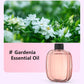 Difusor automático de aromaterapia