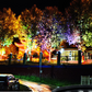 🌳💡 Luces solares en forma de árbol con anillo – Focos exteriores resistentes a la intemperie, ideales para árboles, columnas y jardines