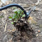 🔥Rebajas de último día 50% OFF🔥🌱Herramientas Manuales de Jardinería